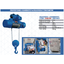 SHUN Kılavuzlu Vinç 1 Ton – 9 Metre 380V